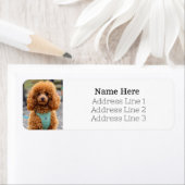 Étiquette Fluffy Brown Poodle Chien Chien Chien Retourner Ad (En situation)
