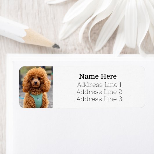 Étiquette Fluffy Brown Poodle Chien Chien Chien Retourner Ad (En situation)