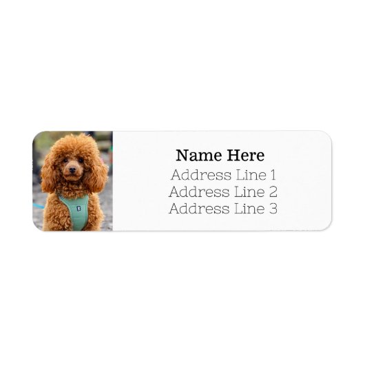 Étiquette Fluffy Brown Poodle Chien Chien Chien Retourner Ad (Devant)