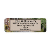 Étiquette Flux dans une forêt du Pacifique Nord-Ouest (Devant)