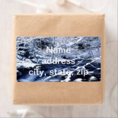 Étiquette Flux neigeux - (En situation)