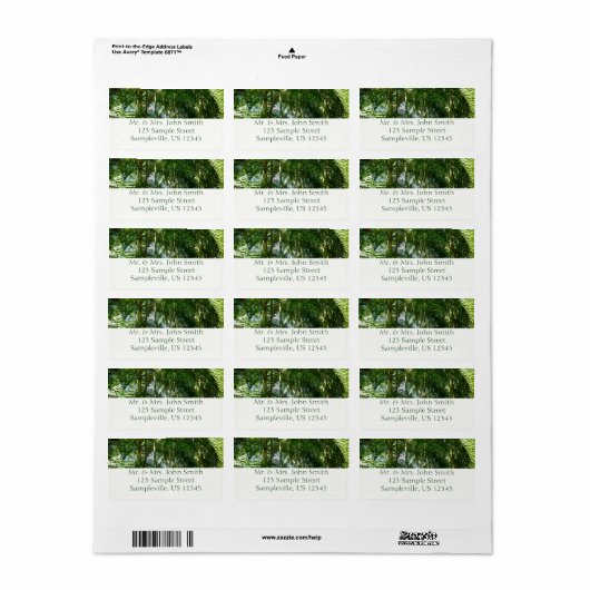 Étiquette Forest of Palm Trees Tropical Nature (Feuille entière)