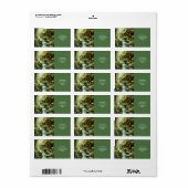 Étiquette Forêt de la rivière Cute Frog Imaginaire (Feuille entière)