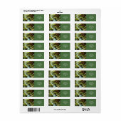 Étiquette Forêt de la rivière Cute Frog Imaginaire (Feuille entière)