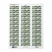 Étiquette Forêt Vert Moderne et Rétro Grandes avec Monogramm (Feuille entière)