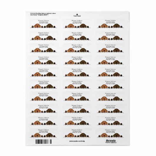 Étiquette Fox Red Lab et Chocolat Lab à observer (Feuille entière)