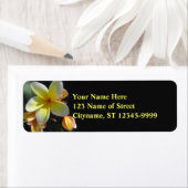 Étiquette Frangipani (En situation)