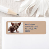 Étiquette Freaky Cute Furless (En situation)