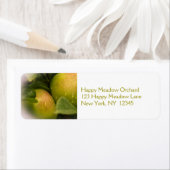 Étiquette Fresh Green Apples with Misty Border (En situation)