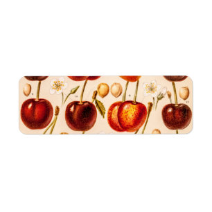 Étiquette Fruit antique de cerises de variétés vintages de