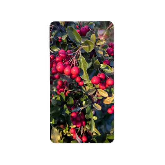 Étiquette Fruit d'automne (Devant)