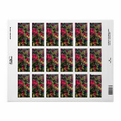 Étiquette Fruit d'automne (Feuille entière)