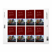 Étiquette FRUITS DE SAISON 1 - RAISONS ET POIRS rouge (Feuille entière)