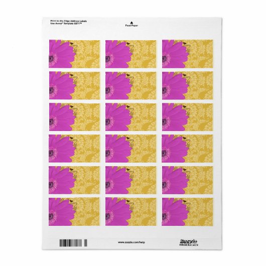 Étiquette Fuchsia Gerber Daisy & Golden Glow Damask (Feuille entière)