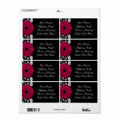 Étiquette Fuchsia Scroll Gerbera Daisy avec noir et blanc (Feuille entière)