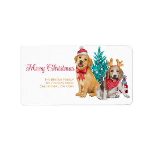 Étiquette Fun Christmas Photo Modern Minimal Adresse de reto