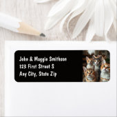 Étiquette Fun Group Chats Kittens Animaux Animaux Animaux (En situation)