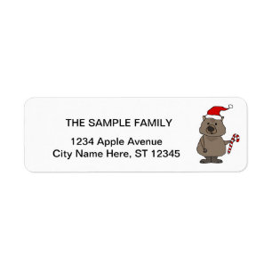 Étiquette Funny Wombat à Noël à Santa Hat