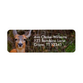 Étiquette Funny Young Blacktail Deer sourit à un photographe (Devant)