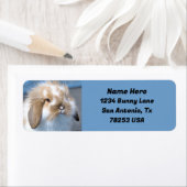 Étiquette Fuzzy Holland Mini Nwarf Lop Bunny Adresse de reto (En situation)