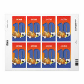 Étiquette Garçon 10e anniversaire des balles de sport (Feuille entière)