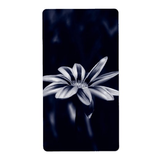 ÉTIQUETTE GAZANIA (Devant)