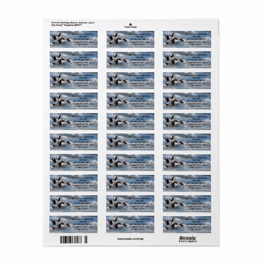 ÉTIQUETTE GEESE (Feuille entière)