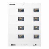 Étiquette Gel de l'Alaska (Feuille entière)