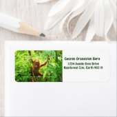 Étiquette George Orangutan (En situation)