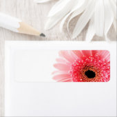 Étiquette Gerbera (En situation)