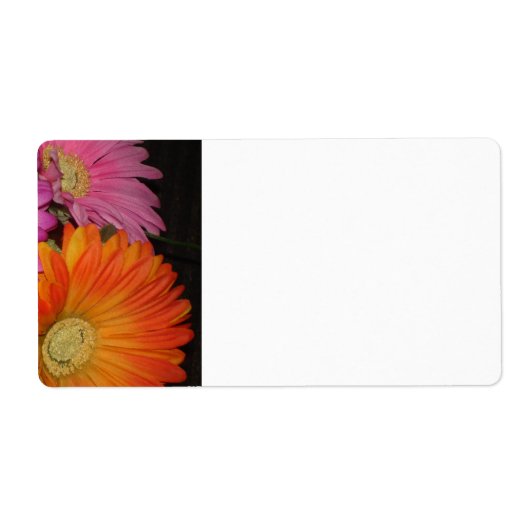 Étiquette Gerbera Daisy Garden (Devant)