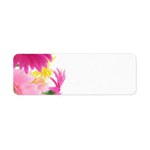 Étiquette Gerbera Daisy Piink Fleurs