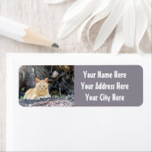 Étiquette Ginger Boy (En situation)