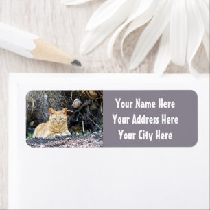 Étiquette Ginger Boy