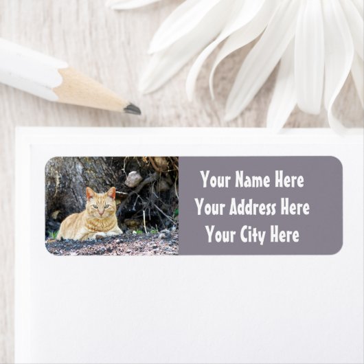 Étiquette Ginger Boy (En situation)