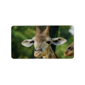 Étiquette Giraffe (Devant)