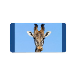 Étiquette Giraffe