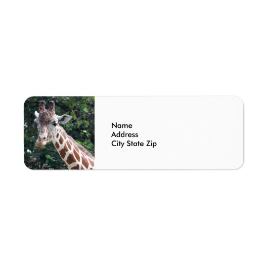 Étiquette Giraffe de la faune (Devant)