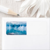 Étiquette Glace en Antarctique (En situation)