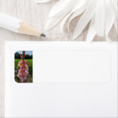 Étiquette Gladiolus (En situation)