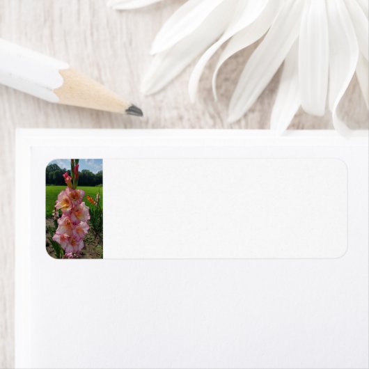 Étiquette Gladiolus (En situation)