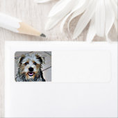 Étiquette Glen d'Imaal Terrier (En situation)