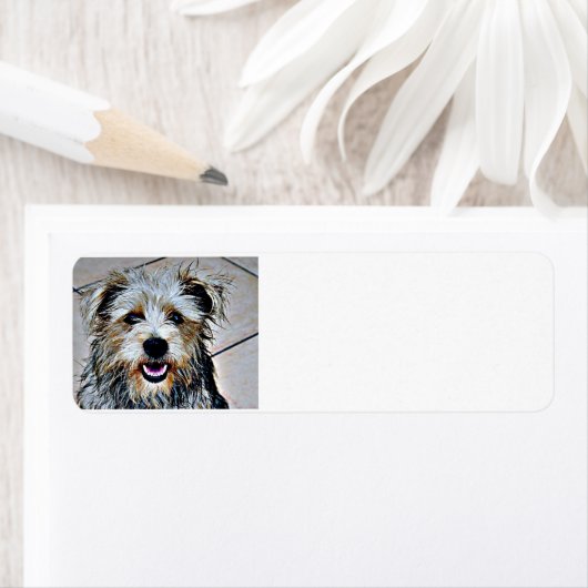 Étiquette Glen d'Imaal Terrier (En situation)