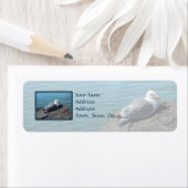 Étiquette Goéland argenté reposant sur la jument de roche : (En situation)