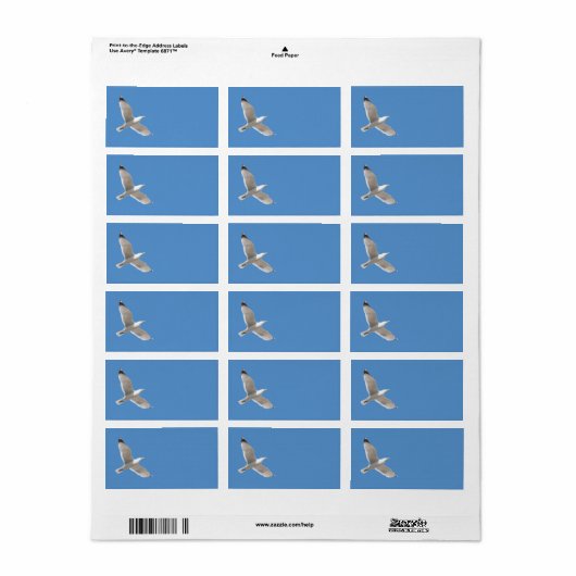 Étiquette Goéland volant (Feuille entière)