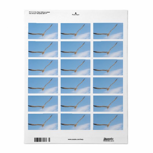 Étiquette Goéland volant (Feuille entière)
