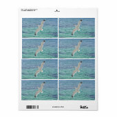 Étiquette Goéland volant au-dessus de la mer (Feuille entière)