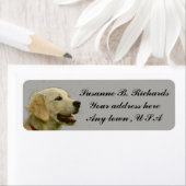 Étiquette Golden Retriever (En situation)