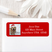 Étiquette Golden Retriever Believe Christmas (En situation)