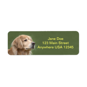 Étiquette Golden retriever en plan rapproché